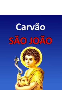 Carvão São João Sertãozinho SP