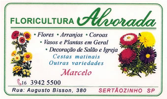 Floricultura Alvorada Sertãozinho SP